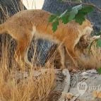 Magyar Természettudományi Múzeum Mátra Múzeuma Gyöngyös - Belső