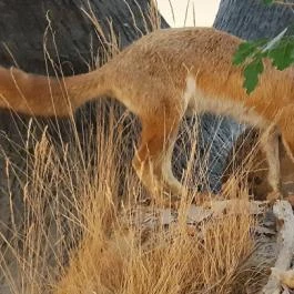 Magyar Természettudományi Múzeum Mátra Múzeuma, Gyöngyös - Belső