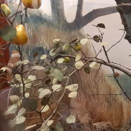 Magyar Természettudományi Múzeum Mátra Múzeuma, Gyöngyös - Belső