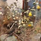 Magyar Természettudományi Múzeum Mátra Múzeuma Gyöngyös - Belső