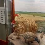 Magyar Természettudományi Múzeum Mátra Múzeuma Gyöngyös - Belső