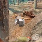 Magyar Természettudományi Múzeum Mátra Múzeuma Gyöngyös - Belső