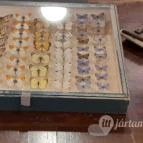 Magyar Természettudományi Múzeum Mátra Múzeuma Gyöngyös - Belső