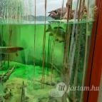 Magyar Természettudományi Múzeum Mátra Múzeuma Gyöngyös - Belső