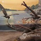 Magyar Természettudományi Múzeum Mátra Múzeuma Gyöngyös - Belső