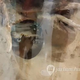 Magyar Természettudományi Múzeum Mátra Múzeuma, Gyöngyös - Belső