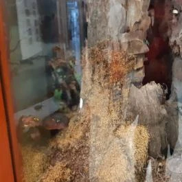 Magyar Természettudományi Múzeum Mátra Múzeuma, Gyöngyös - Belső