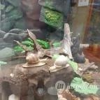 Magyar Természettudományi Múzeum Mátra Múzeuma Gyöngyös - Belső