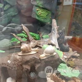 Magyar Természettudományi Múzeum Mátra Múzeuma, Gyöngyös - Belső