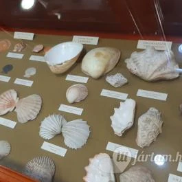 Magyar Természettudományi Múzeum Mátra Múzeuma, Gyöngyös - Belső