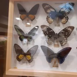 Magyar Természettudományi Múzeum Mátra Múzeuma, Gyöngyös - Belső