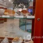 Magyar Természettudományi Múzeum Mátra Múzeuma Gyöngyös - Belső