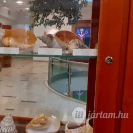 Magyar Természettudományi Múzeum Mátra Múzeuma, Gyöngyös - Belső