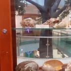 Magyar Természettudományi Múzeum Mátra Múzeuma Gyöngyös - Belső