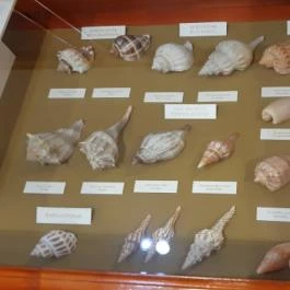 Magyar Természettudományi Múzeum Mátra Múzeuma, Gyöngyös - Belső