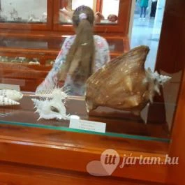 Magyar Természettudományi Múzeum Mátra Múzeuma, Gyöngyös - Belső