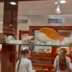 Magyar Természettudományi Múzeum Mátra Múzeuma Gyöngyös - Belső