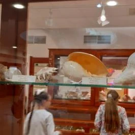 Magyar Természettudományi Múzeum Mátra Múzeuma, Gyöngyös - Belső