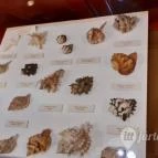 Magyar Természettudományi Múzeum Mátra Múzeuma Gyöngyös - Belső