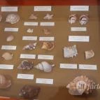 Magyar Természettudományi Múzeum Mátra Múzeuma Gyöngyös - Belső