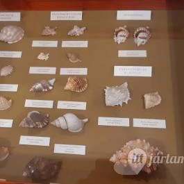 Magyar Természettudományi Múzeum Mátra Múzeuma, Gyöngyös - Belső