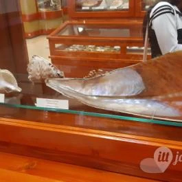 Magyar Természettudományi Múzeum Mátra Múzeuma, Gyöngyös - Belső