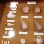 Magyar Természettudományi Múzeum Mátra Múzeuma Gyöngyös - Belső