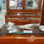 Magyar Természettudományi Múzeum Mátra Múzeuma Gyöngyös - Belső