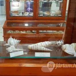 Magyar Természettudományi Múzeum Mátra Múzeuma, Gyöngyös - Belső