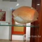 Magyar Természettudományi Múzeum Mátra Múzeuma Gyöngyös - Belső