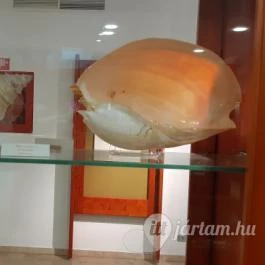 Magyar Természettudományi Múzeum Mátra Múzeuma, Gyöngyös - Belső