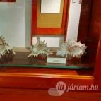 Magyar Természettudományi Múzeum Mátra Múzeuma Gyöngyös - Belső
