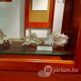 Magyar Természettudományi Múzeum Mátra Múzeuma, Gyöngyös - Belső