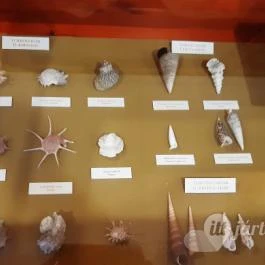 Magyar Természettudományi Múzeum Mátra Múzeuma, Gyöngyös - Belső