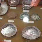 Magyar Természettudományi Múzeum Mátra Múzeuma Gyöngyös - Belső