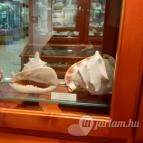 Magyar Természettudományi Múzeum Mátra Múzeuma Gyöngyös - Belső