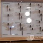 Magyar Természettudományi Múzeum Mátra Múzeuma Gyöngyös - Belső