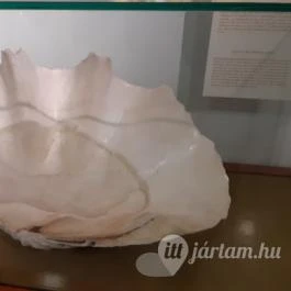 Magyar Természettudományi Múzeum Mátra Múzeuma, Gyöngyös - Belső