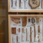 Magyar Természettudományi Múzeum Mátra Múzeuma Gyöngyös - Belső