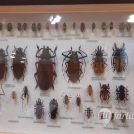 Magyar Természettudományi Múzeum Mátra Múzeuma, Gyöngyös - Belső