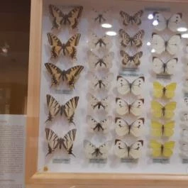 Magyar Természettudományi Múzeum Mátra Múzeuma, Gyöngyös - Belső