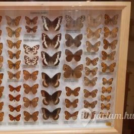 Magyar Természettudományi Múzeum Mátra Múzeuma, Gyöngyös - Belső