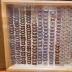 Magyar Természettudományi Múzeum Mátra Múzeuma Gyöngyös - Belső