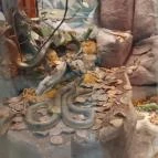 Magyar Természettudományi Múzeum Mátra Múzeuma Gyöngyös - Belső