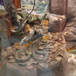 Magyar Természettudományi Múzeum Mátra Múzeuma, Gyöngyös - Belső