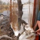 Magyar Természettudományi Múzeum Mátra Múzeuma Gyöngyös - Belső