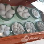 Magyar Természettudományi Múzeum Mátra Múzeuma Gyöngyös - Belső