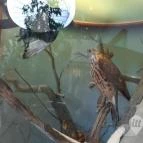 Magyar Természettudományi Múzeum Mátra Múzeuma Gyöngyös - Belső