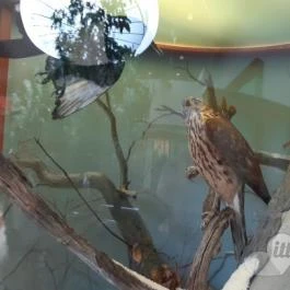 Magyar Természettudományi Múzeum Mátra Múzeuma, Gyöngyös - Belső