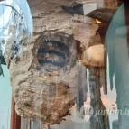 Magyar Természettudományi Múzeum Mátra Múzeuma Gyöngyös - Belső